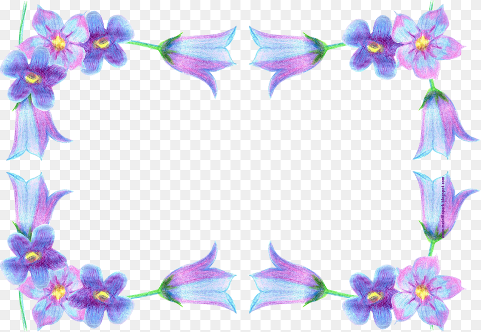 Light Blue Flowers Frames Transparent, Flower, Plant, Pattern, Art Free Png Download