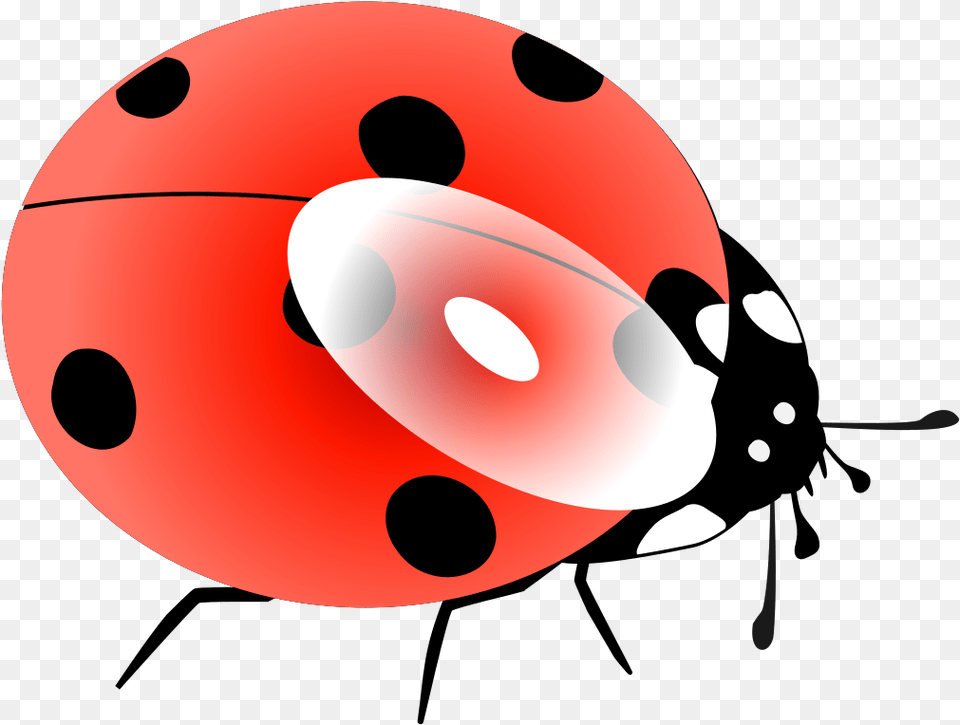 Light Blue Ladybug Svg Clip Arts Clip Blue Ladfybug Clipart, Pattern, Sphere Free Png Download