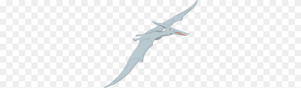 Light Blue Pterodactyl Clip Art, Animal, Bird, Flying, Blade Free Transparent Png