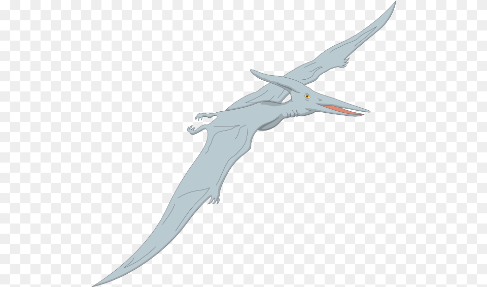 Light Blue Pterodactyl Clip Art Vector Clip 10 Fun Facts About Pterodactyls, Animal, Bird, Flying, Beak Free Png Download