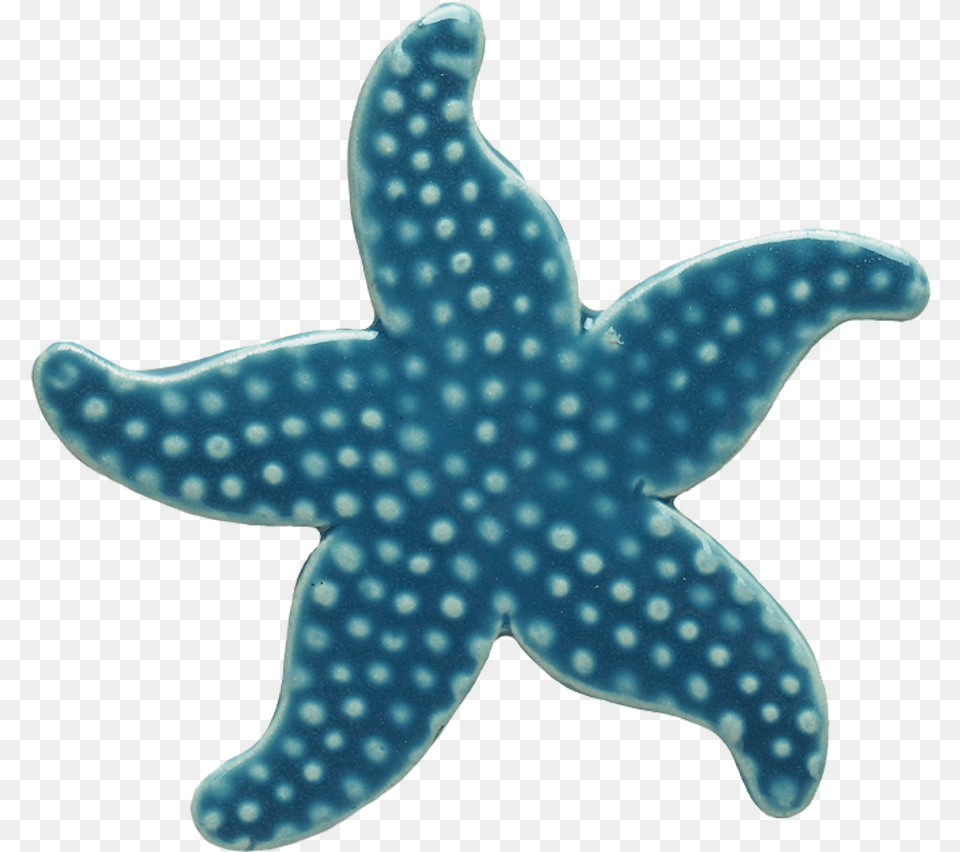 Light Blue Starfish Mosaic U2014 Custom Mosaics Blue Star Fish Cartoon, Animal, Sea Life, Invertebrate, Shark Png