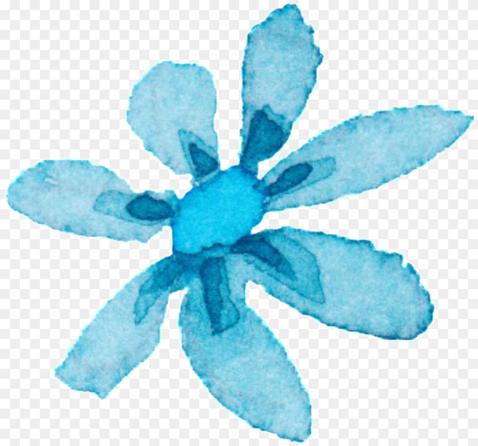 Light Blue Watercolor Hand Painted Flowers Decorative Illustration, Petal, Flower, Plant, Outdoors Png