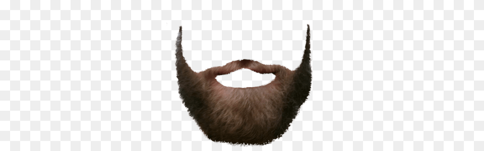 Light Brown Beard, Face, Head, Person, Mustache Png Image