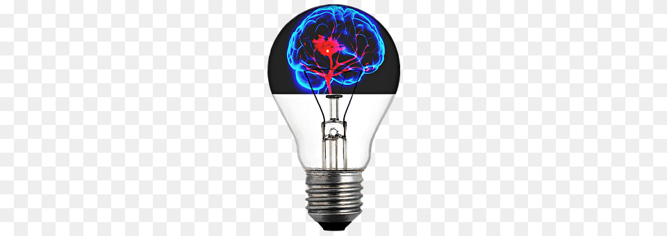 Light Bulb Lightbulb Free Png Download