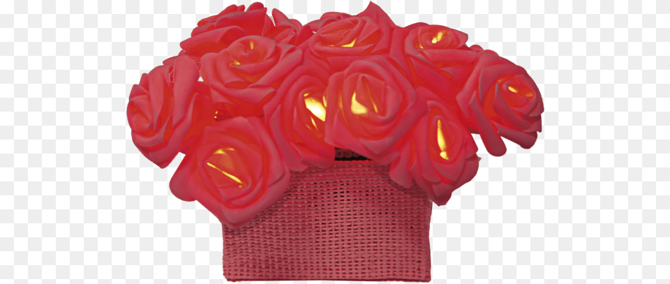 Light Chain Rosebush Rose, Cushion, Plant, Flower, Flower Arrangement Free Png Download