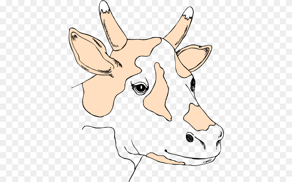 Light Colored Cow Head Clip Art Vector Clip Clip Art, Animal, Mammal, Person, Livestock Free Png