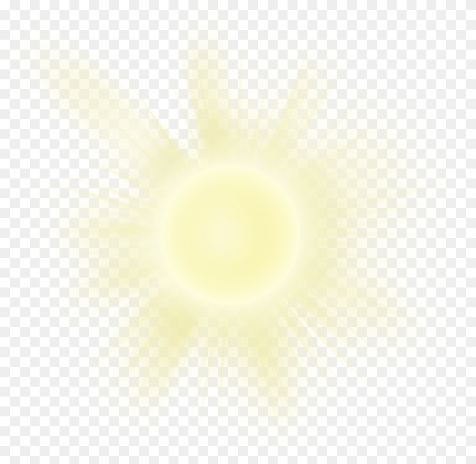 Light Effects Picture Realistic Sun Transparent Background, Flare, Sunlight, Flower, Plant Png