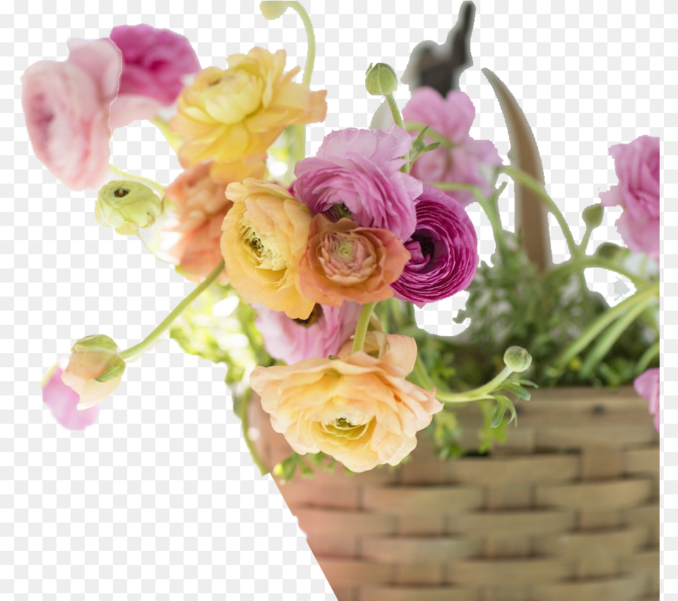 Light Flower Background Image Download, Rose, Plant, Flower Arrangement, Flower Bouquet Free Transparent Png