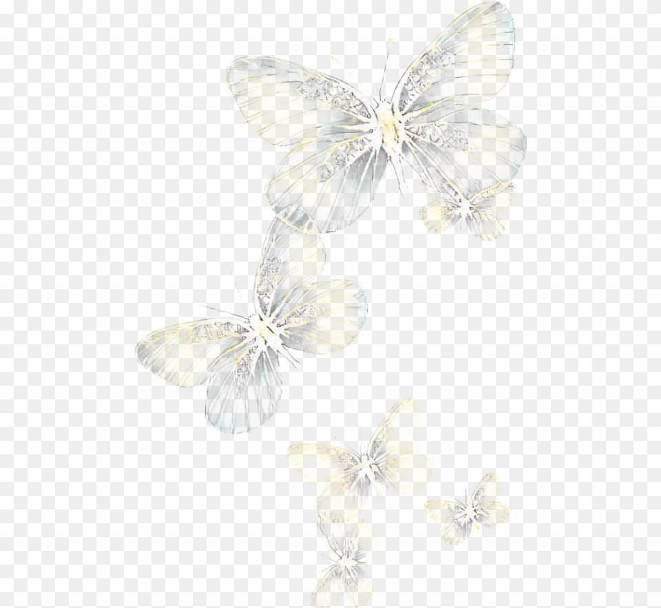 Light Glowing Flying White Butterfly, Animal, Insect, Invertebrate Free Png Download