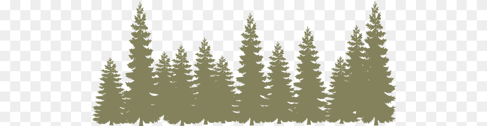 Light Green Forrest V Pine Trees Silhouette, Conifer, Fir, Plant, Tree Png