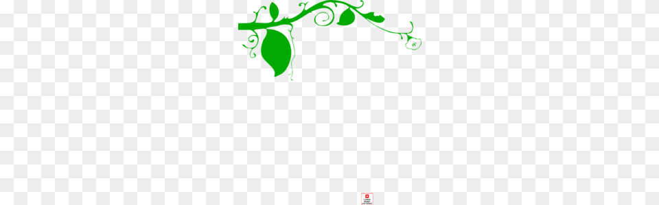 Light Green Grapevine Clip Art, Graphics, Floral Design, Pattern, Food Free Png Download
