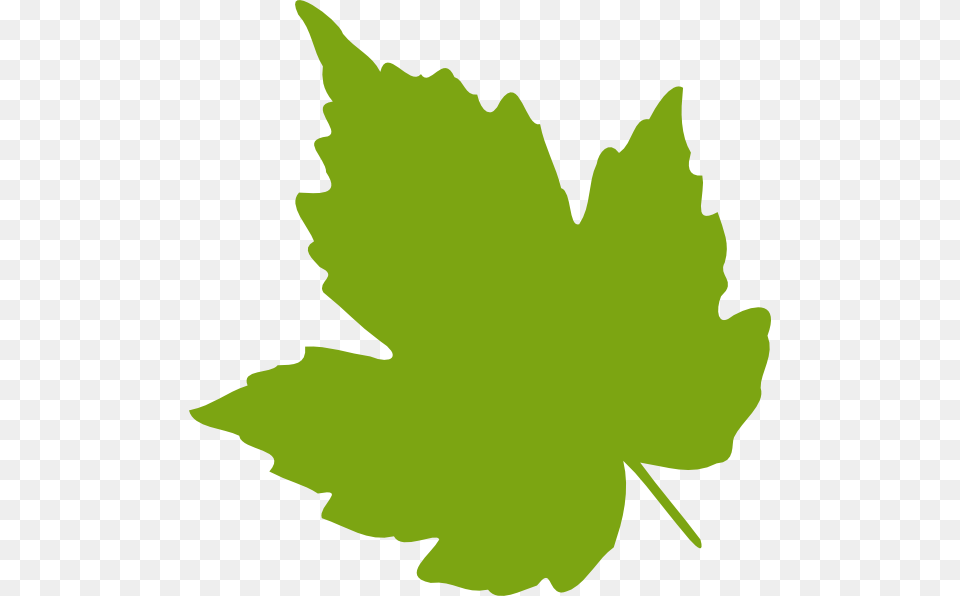 Light Green Leaf Clip Art For Web, Plant, Maple Leaf, Tree Free Transparent Png