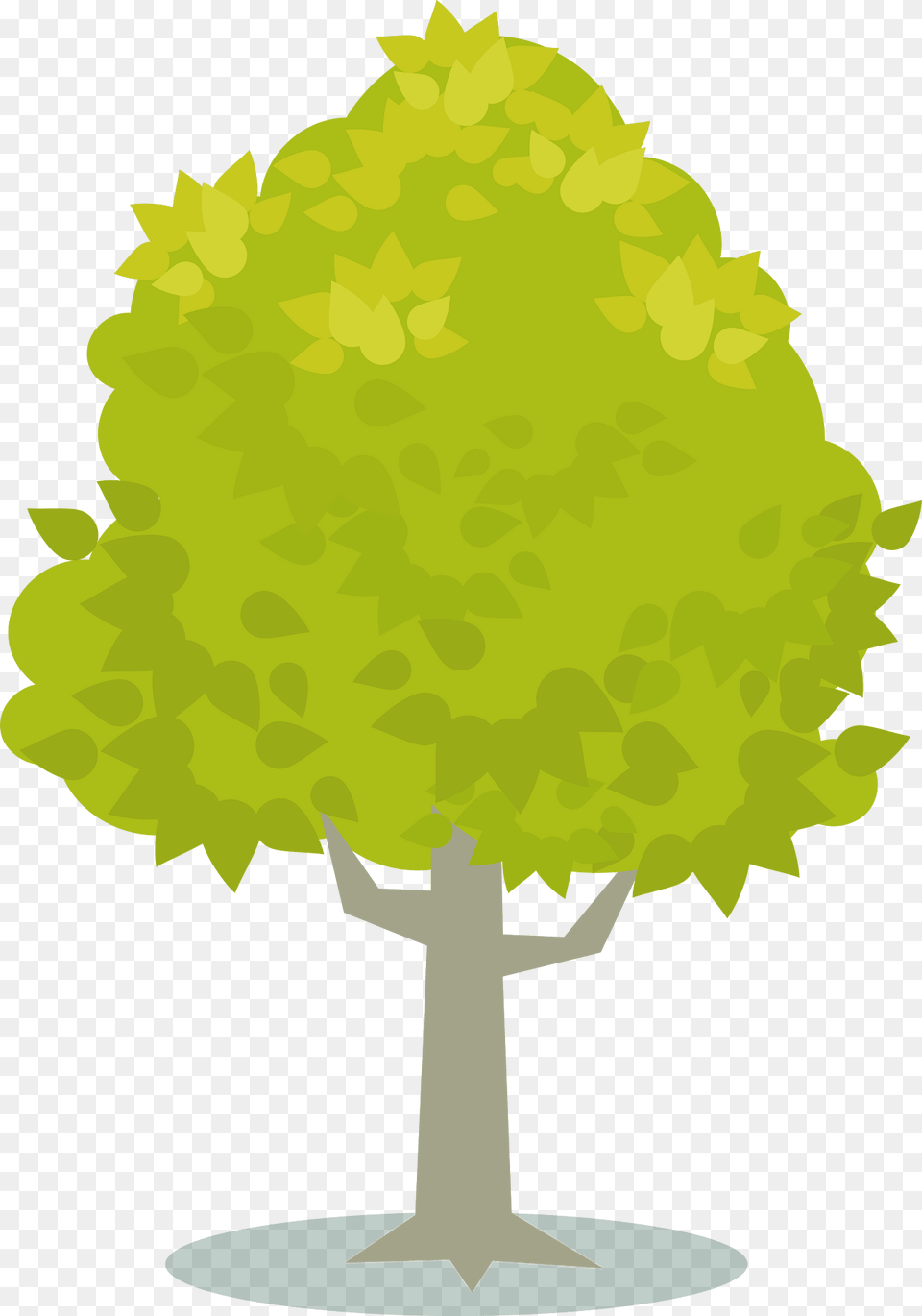 Light Green Tree Clipart, Plant, Vegetation, Maple, Art Png