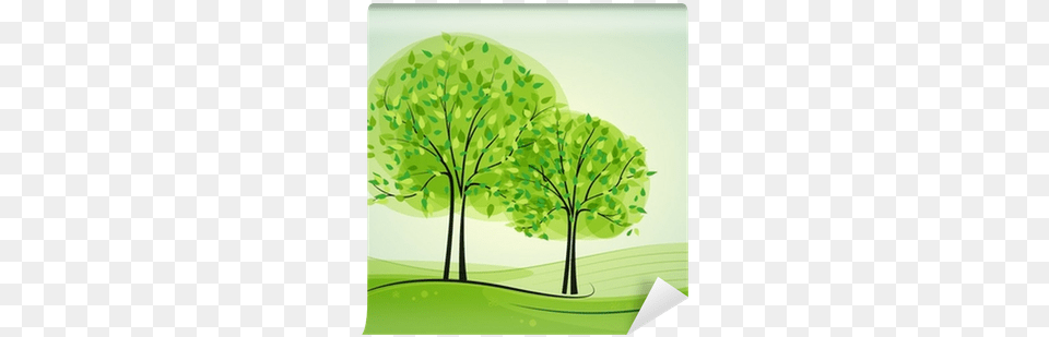 Light Is Everywhere Sources Of Light And Its Uses, Green, Oak, Plant, Sycamore Png Image