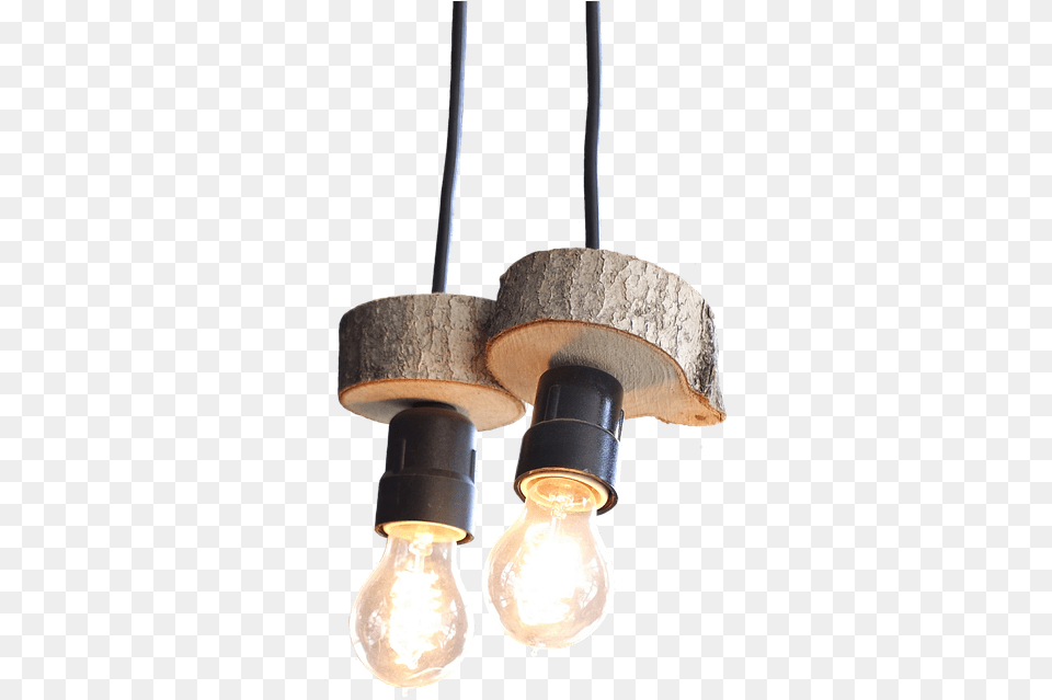 Light Lamps Light Bulbs Wood Slices Isolated Wood Light, Light Fixture, Lightbulb, Lamp Png