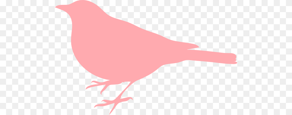 Light Pink Bird Clip Art, Animal, Smoke Pipe, Canary Free Png Download