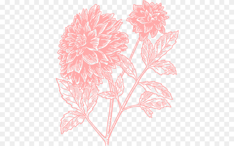 Light Pink Flower Print Clip Arts For Web Clip Arts Floral Print, Plant, Pattern, Leaf, Graphics Free Png Download