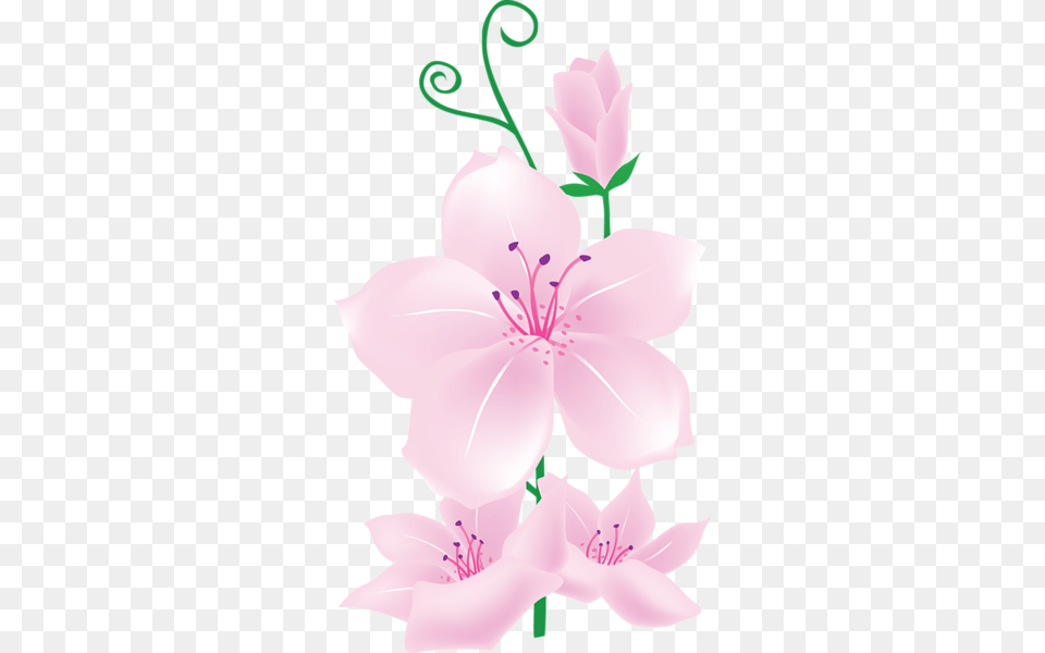Light Pink Flowers Clipart Flowers Clip Art Light Pink Flowers Clipart, Anther, Plant, Flower, Person Png