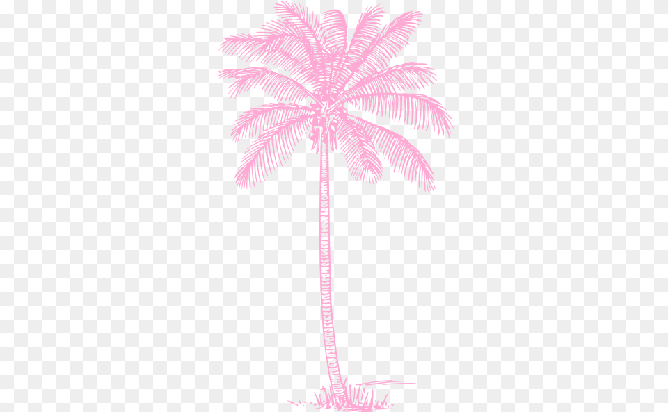 Light Pink Palm Tree Clip Art Vector Clip Art White Palm Tree, Palm Tree, Plant, Animal, Bird Png