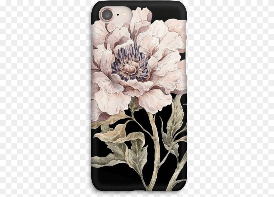 Light Pink Peony Case Iphone Design For Phone Case, Plant, Flower, Graphics, Art Free Png Download