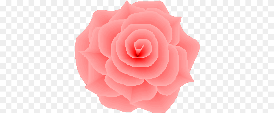 Light Pink Rose For Free Download On Mbtskoudsalg Light Pink Rose, Flower, Petal, Plant Png Image