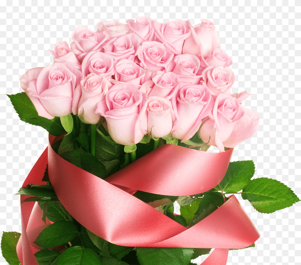 Light Pink Rose With Ribbon Dnyom Doshkolnogo Rabotnika, Flower, Flower Arrangement, Flower Bouquet, Plant Free Png Download