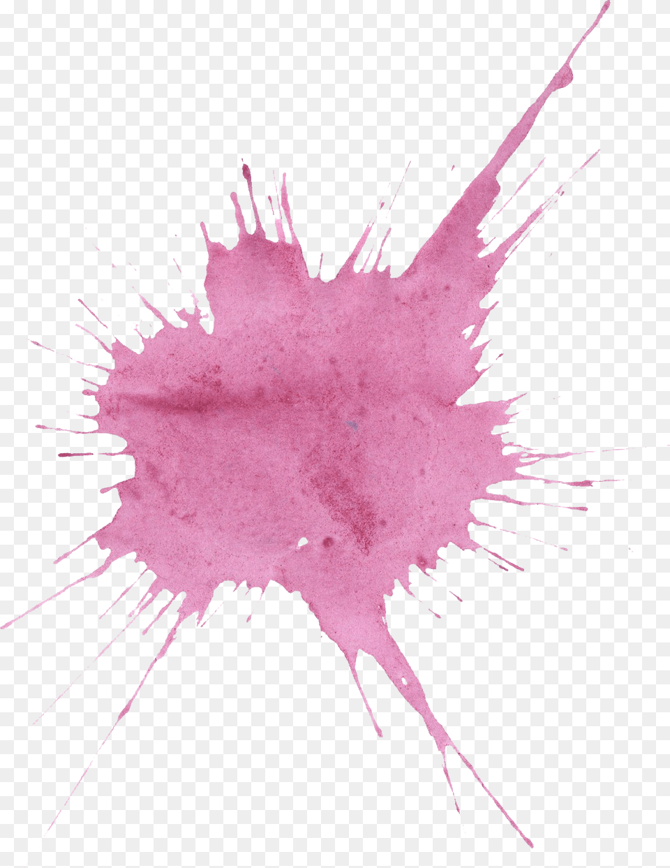 Light Pink Watercolor Splash, Leaf, Plant, Stain, Person Png Image