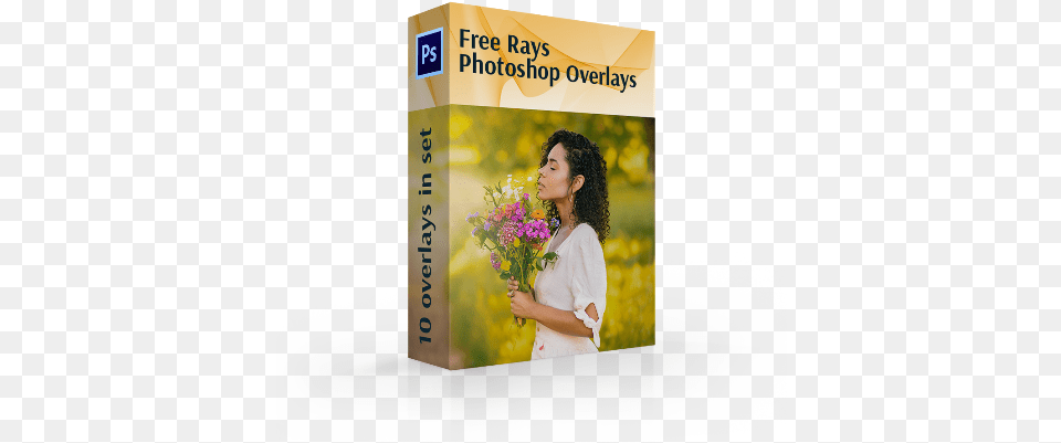 Light Rays Photoshop Overlays Valerian, Flower, Flower Arrangement, Flower Bouquet, Plant Png