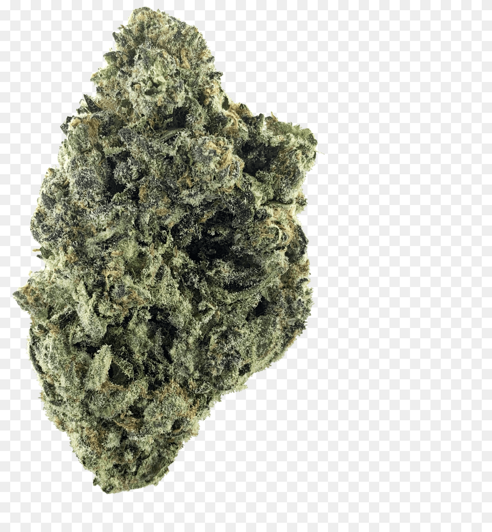 Light Saber White Choco Autoflower, Rock, Mineral, Plant, Weed Png