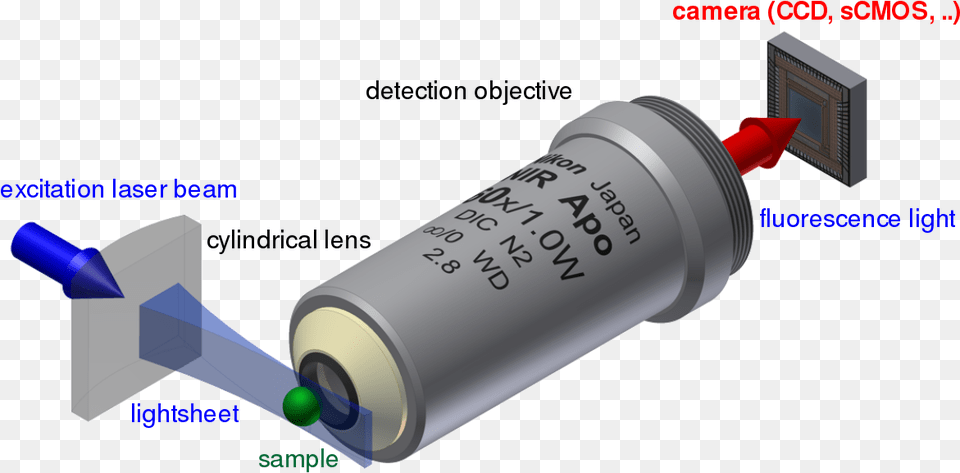 Light Sheet Fluorescence Microscopy Wikipedia Lichtscheibenmikroskopie, Dynamite, Weapon Free Png Download