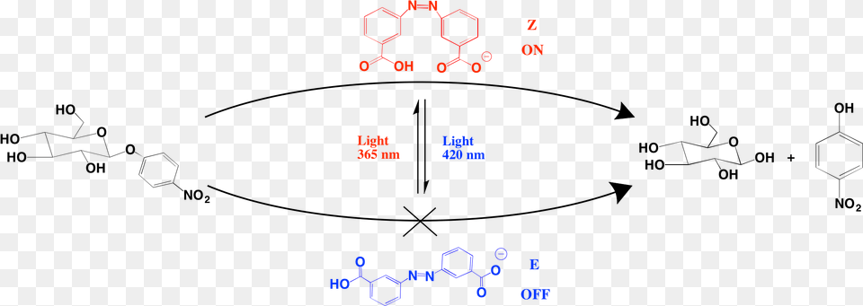 Light Switchable Glucoside Hydrolysis Diagram Free Transparent Png