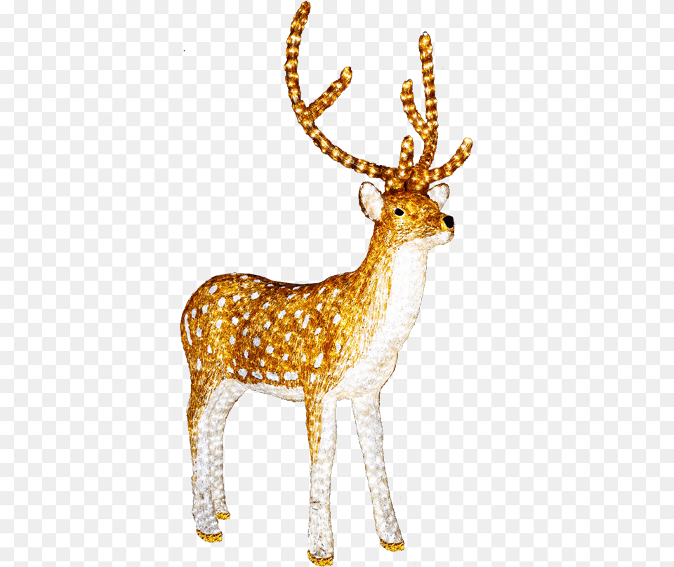 Light Up Reindeer, Animal, Deer, Mammal, Wildlife Free Png