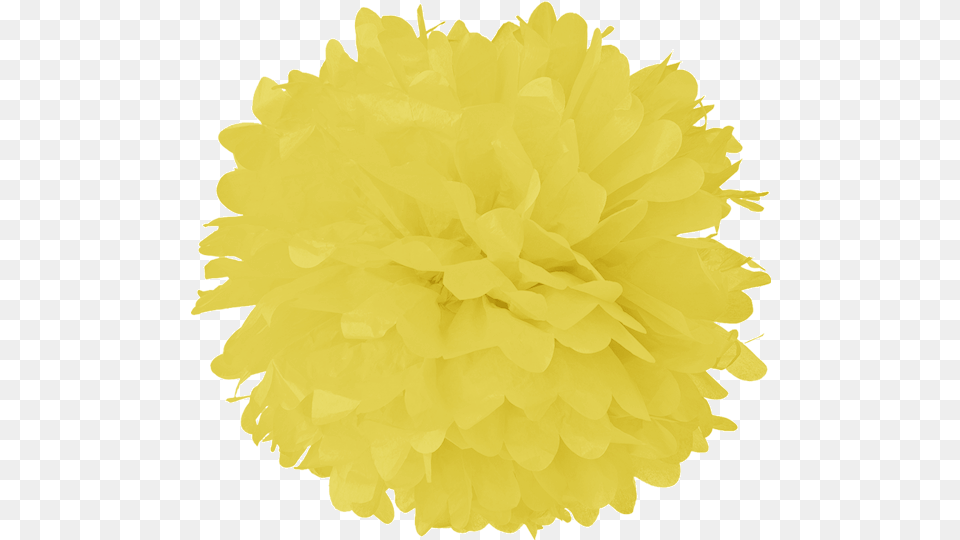 Light Yellow Tissue Pom Poms Tissue Pom Poms Transparent, Flower, Home Decor, Plant, Rose Free Png