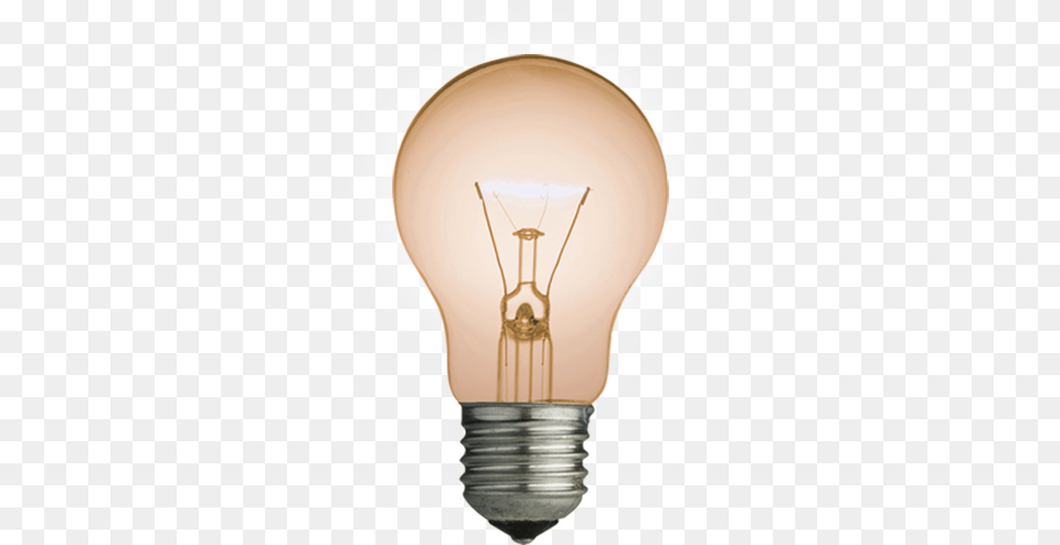 Lightbulb 510x510 Incandescent Light Bulb Png