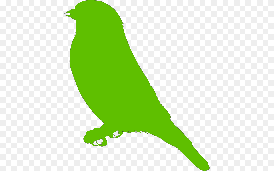 Lighter Green Bird Clip Art, Animal, Finch, Fish, Sea Life Png