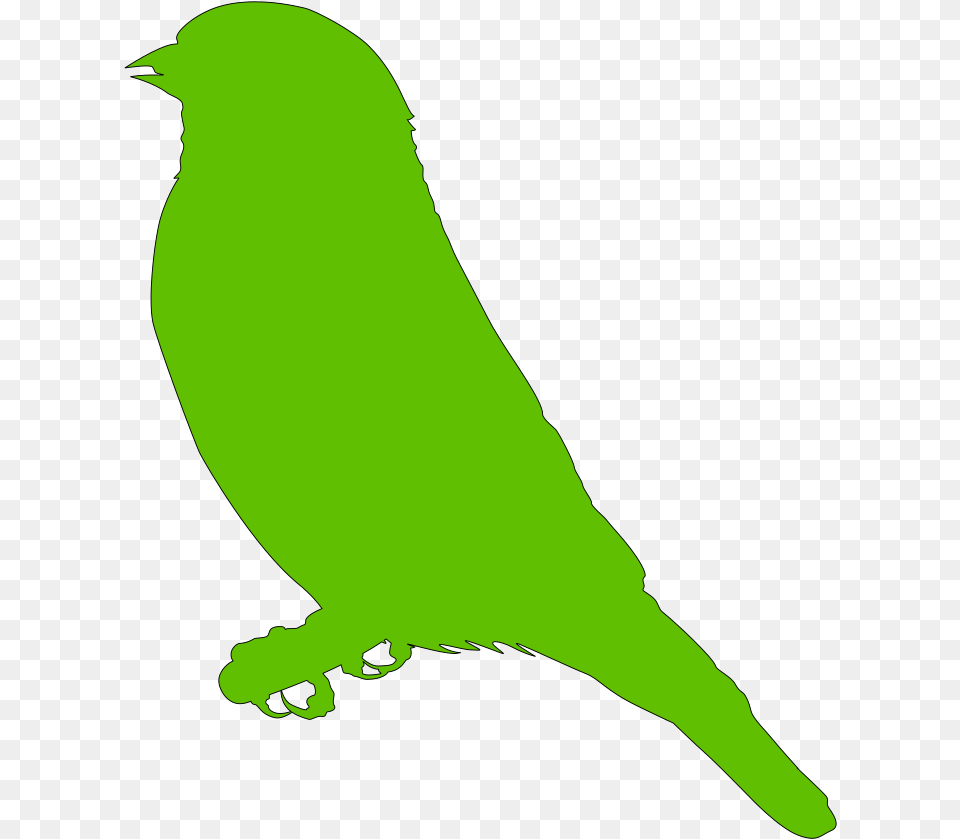 Lighter Green Bird Svg Clip Art For Web Clip Mountain Bluebird, Animal, Person, Canary, Finch Free Png Download