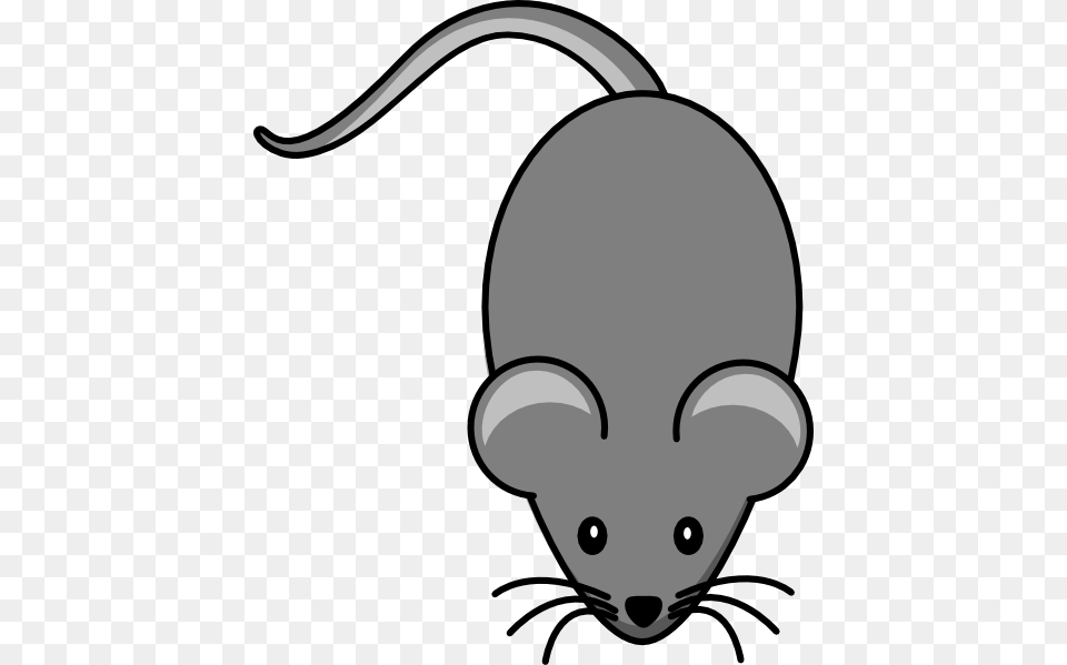 Lighter Grey Mouse Clip Arts For Web, Animal, Mammal, Ammunition, Grenade Png Image