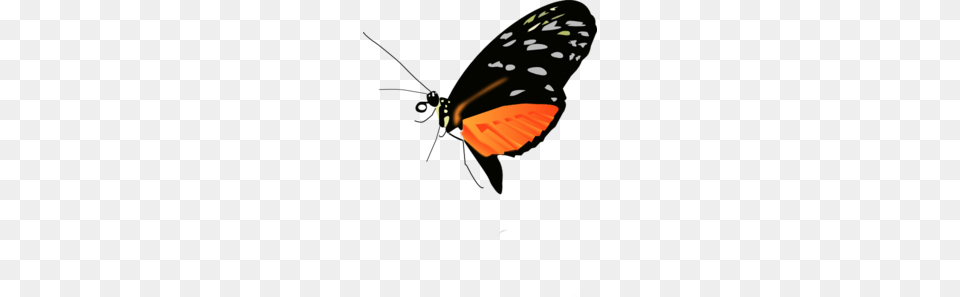 Lighter Orange Black Butterfly Clip Art, Animal, Insect, Invertebrate, Monarch Free Png