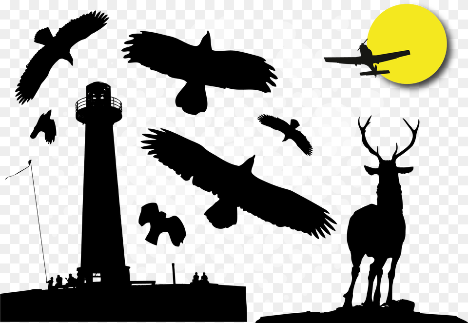 Lighthouse Illustration Eagle 3269 Vector, Aircraft, Airplane, Transportation, Vehicle Free Png Download
