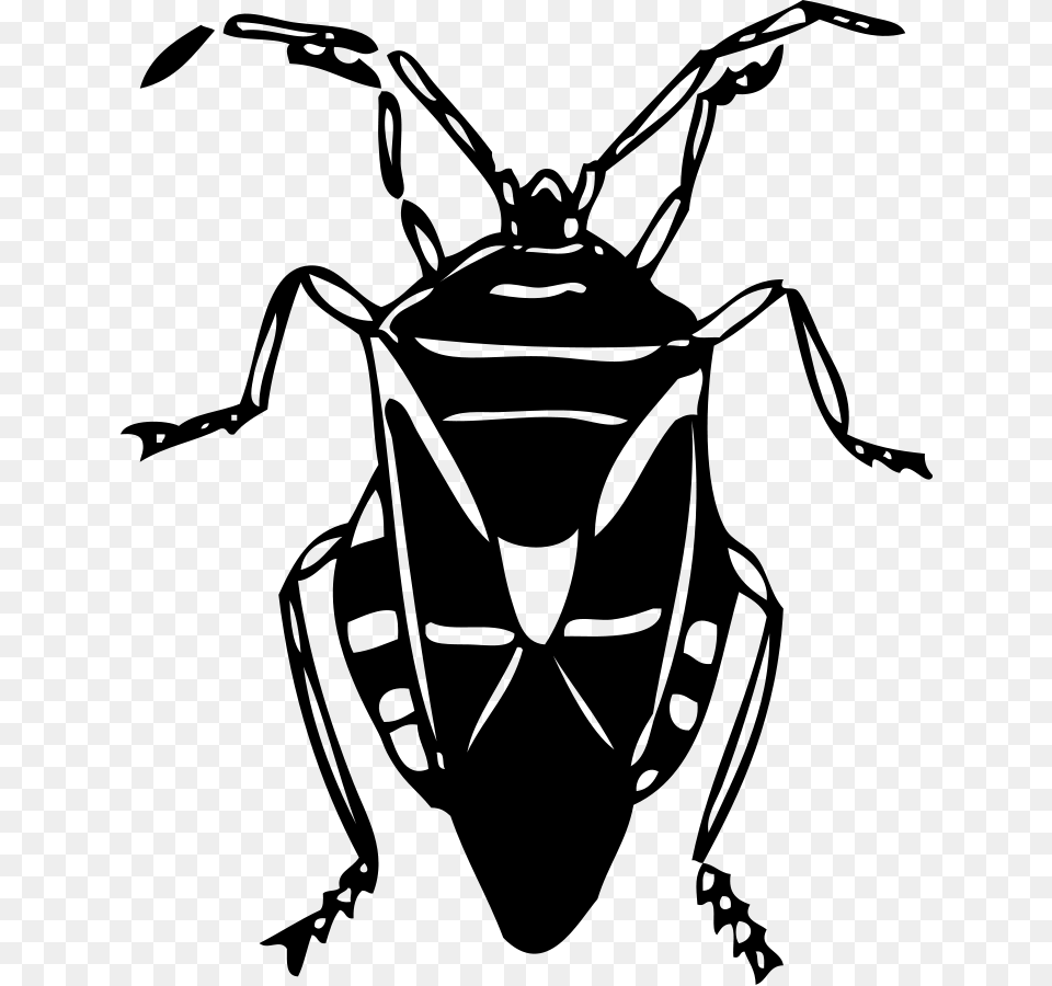 Lightning Bug Buddy Clipart Vector Clip Art Online Clipart Black And White Bug, Gray Free Png Download