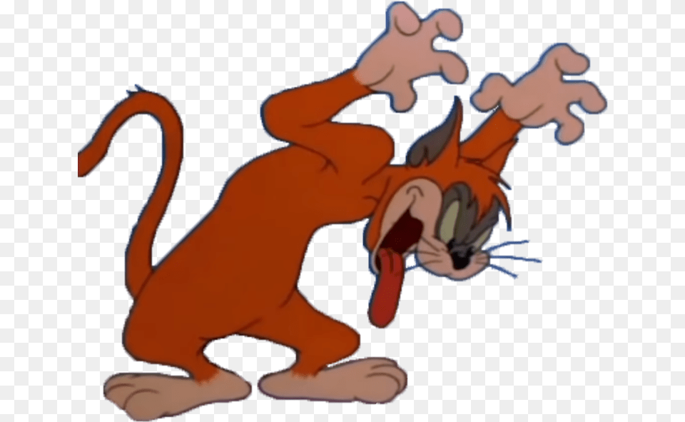 Lightning Cat Cats Tom And Jerry, Cartoon, Baby, Person Free Png Download