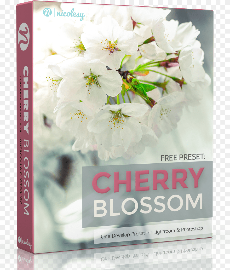 Lightroom Preset Cherry Blossom, Flower, Plant, Advertisement, Poster Png Image