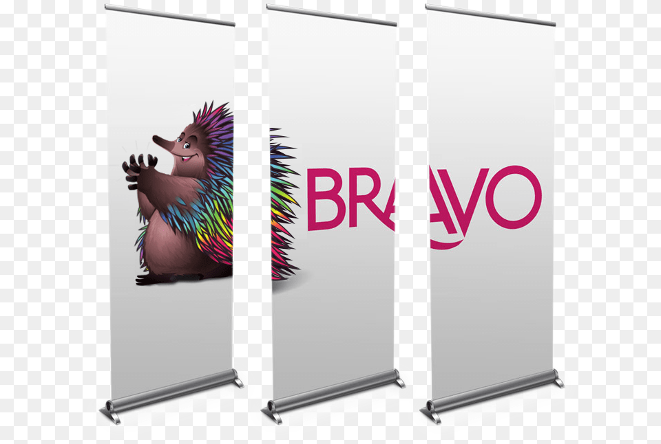 Lightweight Pull Up Banners, Advertisement, Animal, Bird, Mammal Free Png