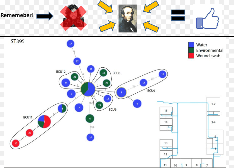 Like, Person, Face, Head Free Png