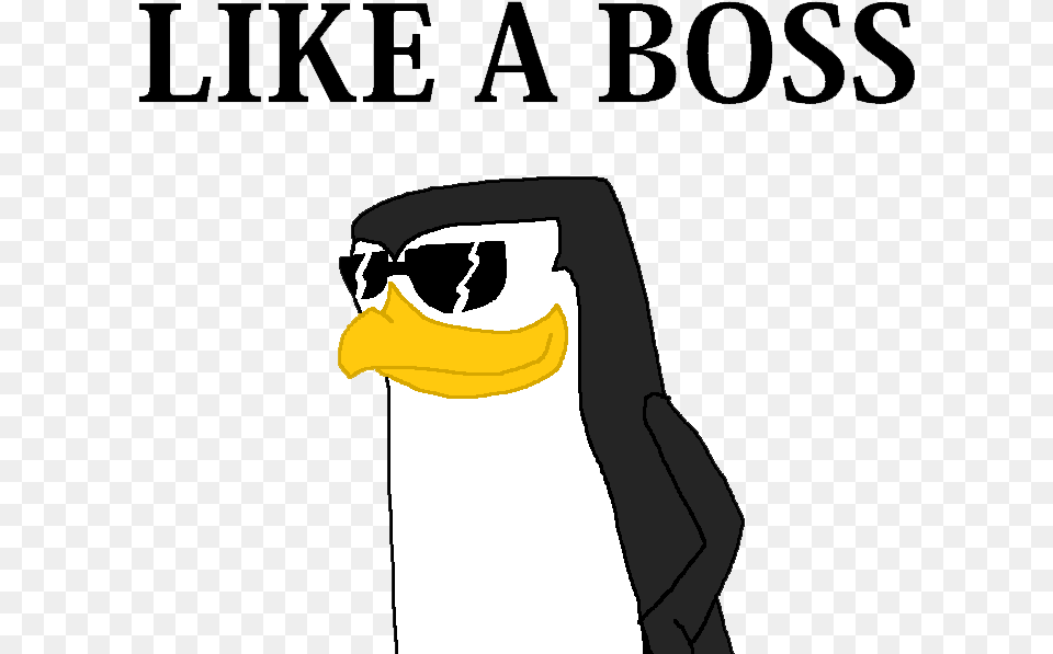 Like A Boss Pic, Animal, Beak, Bird, Adult Png Image