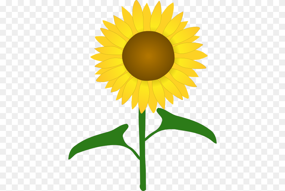 Like A Sunflower Quotes, Flower, Plant Free Png