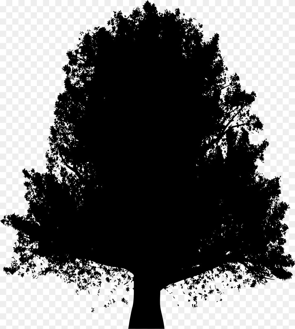 Like A Well Rooted Strong Tree That Stands Tall And Painting, Gray Free Png