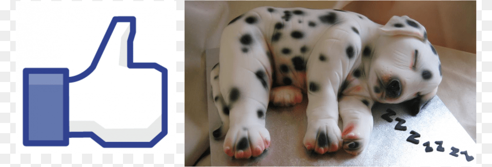 Like Dalmation Realistic Dog Cake, Animal, Canine, Mammal, Pet Free Png