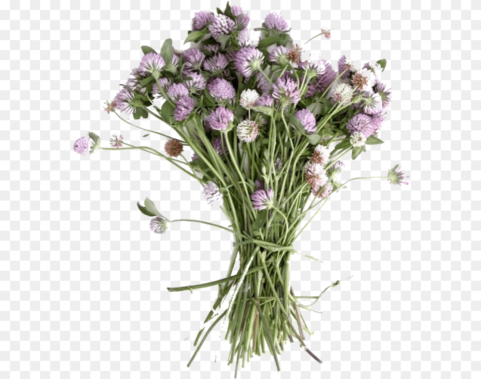 Like Or Reblog If Used Bouquet, Flower, Flower Arrangement, Flower Bouquet, Plant Png Image