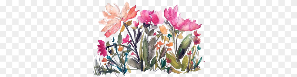 Like Request Flower Watercolor Requested Reblog Transparent Wildflowers Watercolor Transparent Background, Art, Petal, Pattern, Leaf Free Png Download